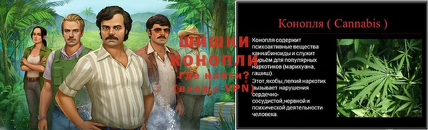 jwh Богородицк