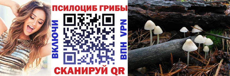 ссылка на мегу   продажа наркотиков  Сосногорск  Галлюциногенные грибы ЛСД 